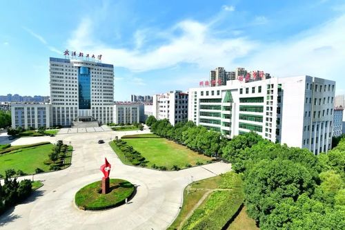 專(zhuān)研 舌尖上的學(xué)問(wèn) 武漢輕工大學(xué)食品科學(xué)與工程學(xué)科碩果累累